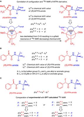 Assigning the Absolute Configurations of Chiral Primary Amines Based on Experimental and DFT-Calculated 19F Nuclear Magnetic Resonance